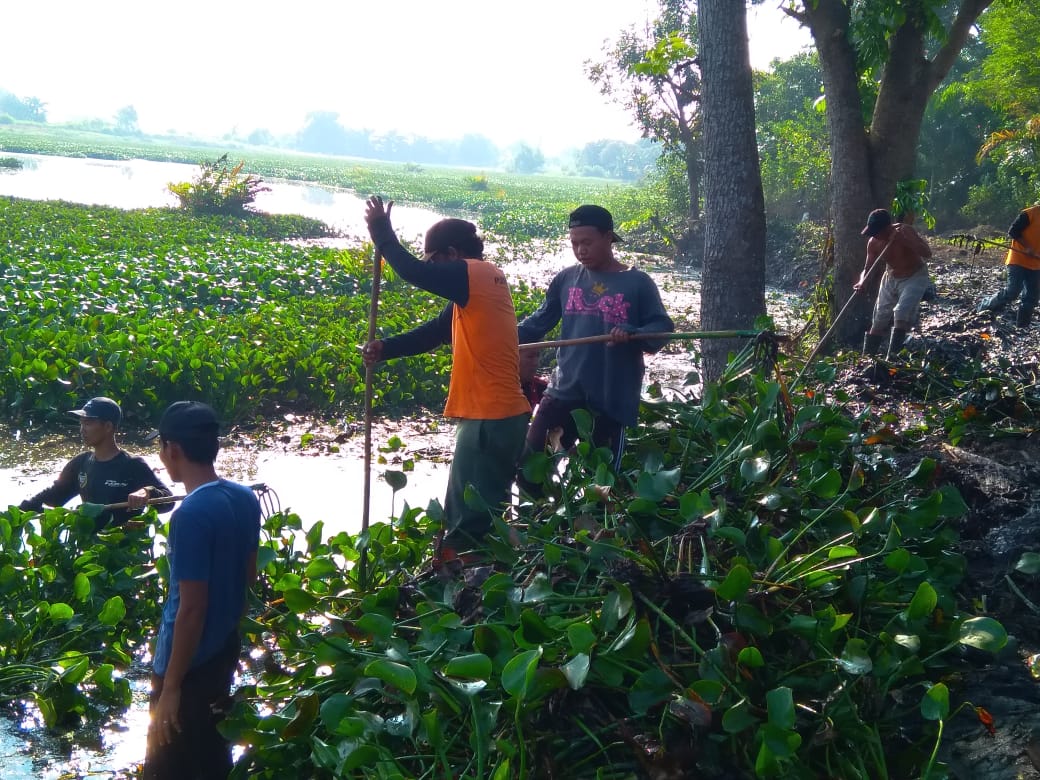 PEMBERSIHAN DANAU LAGUNA